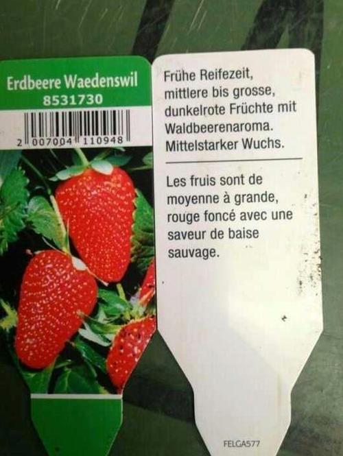 Fruis de séson !