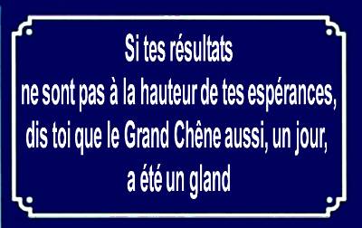 Réconfortant ...